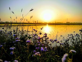 Scenic view of lake against sky during sunset