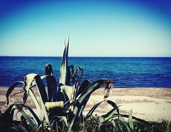 Scenic view of sea against clear blue sky