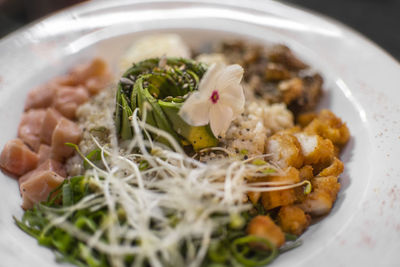 Close-up of food in plate