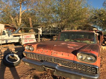 Vintage car on tree