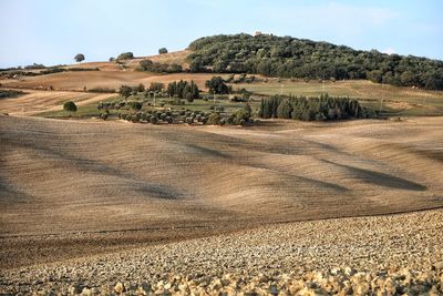 Scenic view of farm against sky