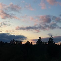 Silhouette of trees against sky at sunset