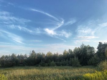 Scenic view of field against sky