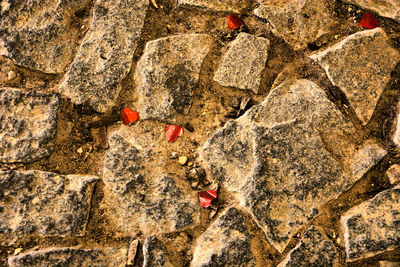 High angle view of red man and rock