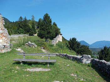 Scenic view of trees on mountain against sky