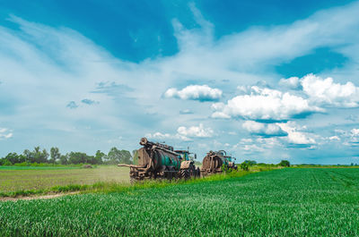 landscape