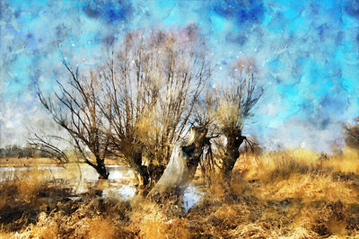 Bare trees on field against sky