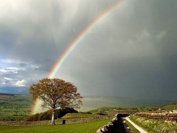 Scenic view of rainbow over landscape against sky