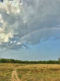 Scenic view of agricultural field against sky