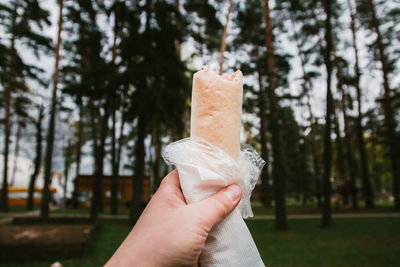 Close-up of hand holding food against trees