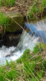 Stream flowing through rocks