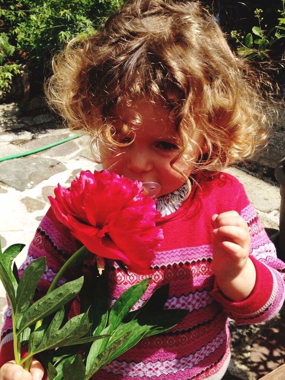 flower, pink color, childhood, person, elementary age, girls, lifestyles, leisure activity, fragility, casual clothing, innocence, freshness, petal, cute, blond hair, focus on foreground, outdoors, plant