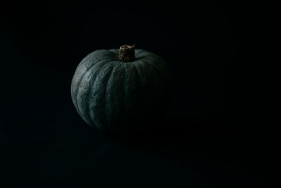 Close-up of pumpkin against black background