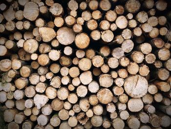 Full frame shot of logs