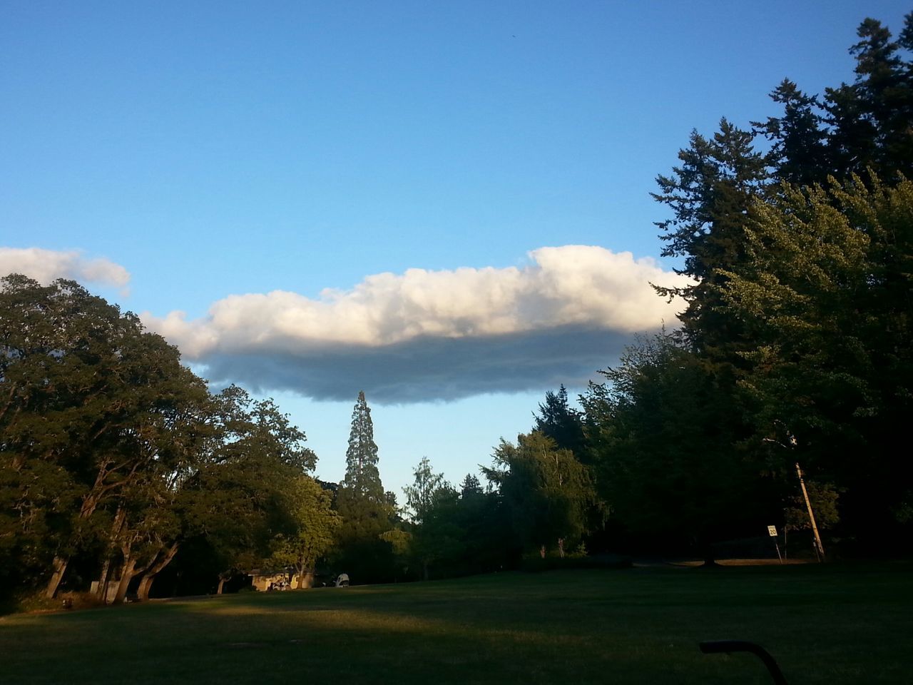 Skinner's Butte park