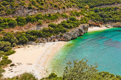 High angle view of trees by sea