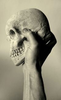 Cropped hand holding human skull against beige background