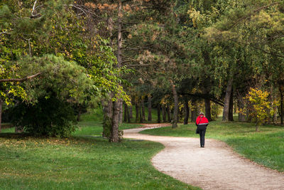 Rear view of woman walking in park