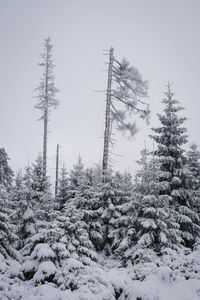 Snow covered landscape against sky during winter