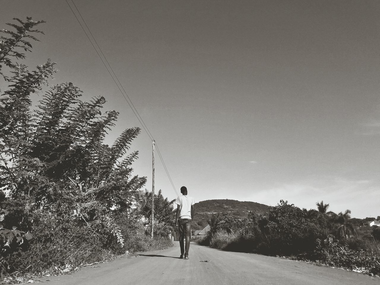 tree, real people, leisure activity, one person, full length, day, outdoors, nature, standing, lifestyles, road, sky, men, landscape, clear sky, people