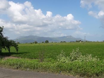 Scenic view of landscape against cloudy sky