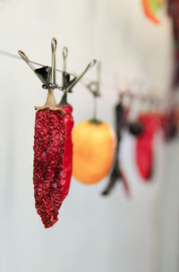 Close-up of fruits hanging on plant