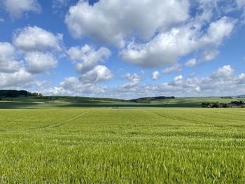 Scenic view of agricultural field against sky