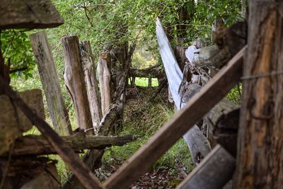 Wooden fence with trees in background