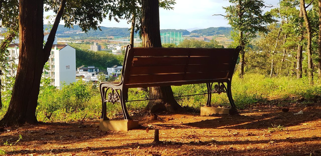 BENCH IN FOREST