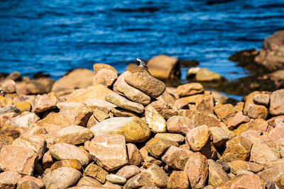 Close-up of rocks on shore