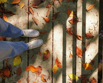 Low section of man standing on dry leaves