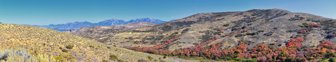 Wasatch front rocky mountains oquirrh mountains hiking yellow fork trail rose canyon salt lake utah