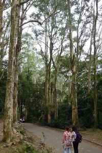 People in park against sky