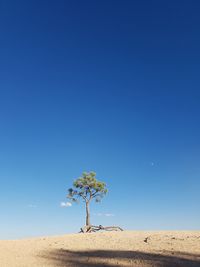 Scenic view of desert against clear blue sky