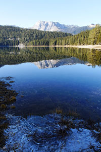 Scenic view of lake in forest against sky