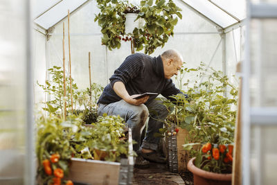 Senior gay man holding digital tablet while examining plants at nursery