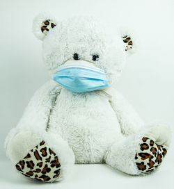 Close-up of stuffed toy over white background