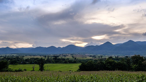 Scenic view of field against sky