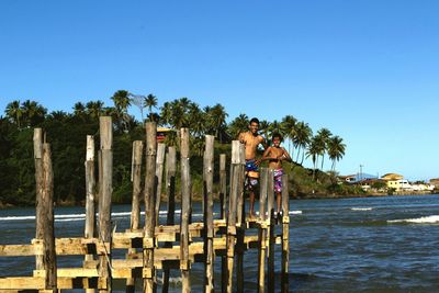 Wooden posts in river against clear blue sky