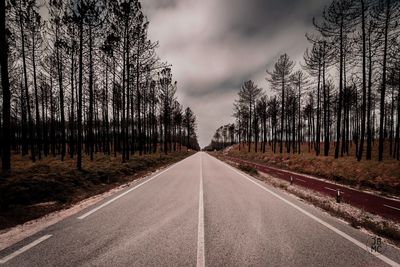 Empty road along trees in forest against sky