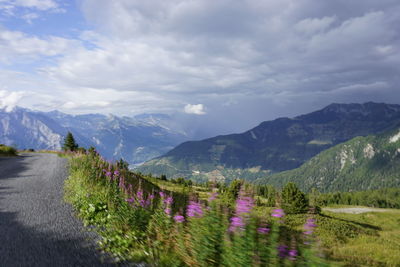 Scenic view of field and mountains against sky