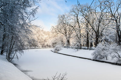 Frozen canal amidst snow covered bare trees