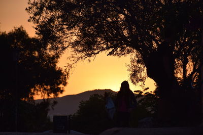 Silhouette of trees at sunset