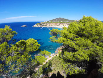 Bright colors of the wild nature of the bay of cala d'hort in ibiza in summer in balearic island