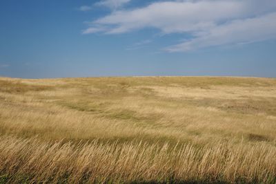 View of field against cloudy sky