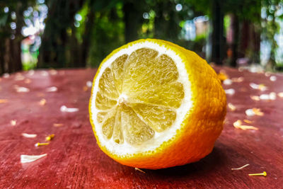 Close-up of lemon slice on table