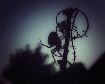 Low angle view of silhouette trees