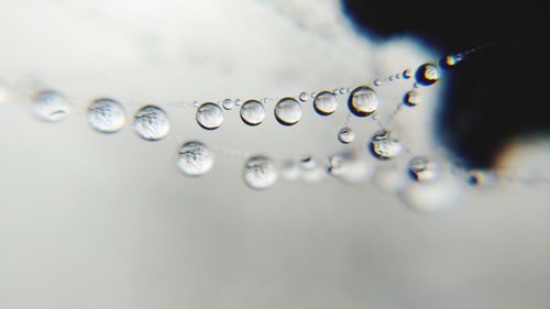 Close-up of water drops on spider web