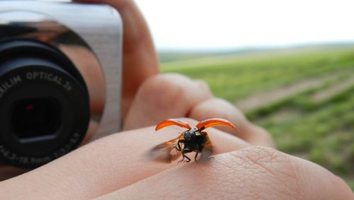 Close-up of hand holding camera