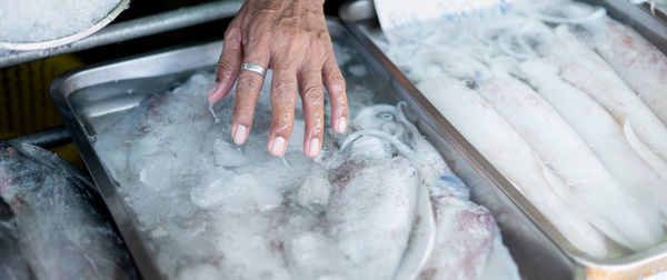 Female hand choosing sea fresh octopus for cooking at the seafood market.